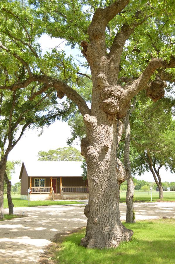 Vineyard Trail Cottages- Adults Only เฟรเดอริกส์เบิร์ก ห้อง รูปภาพ